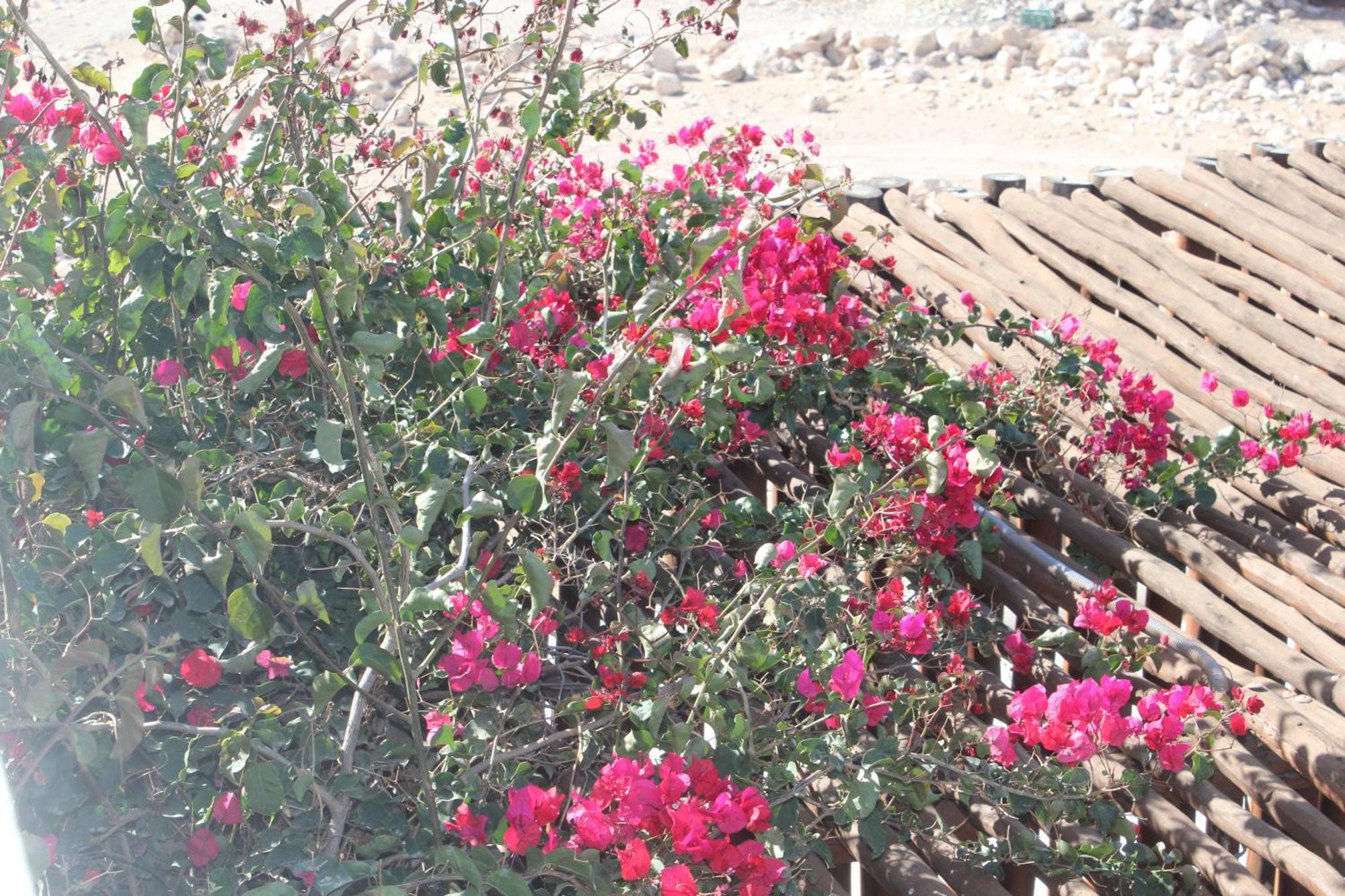 La Maison Des Vagues Sidi Kaouki Exterior foto